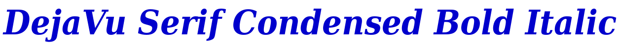 DejaVu Serif Condensed Bold Italic 字体